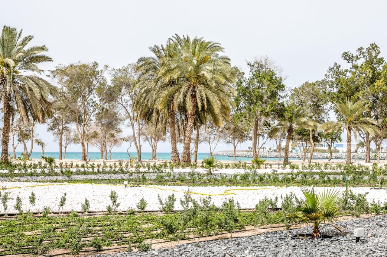 Dhafra Beach Hotel Jebel Dhanna Εξωτερικό φωτογραφία